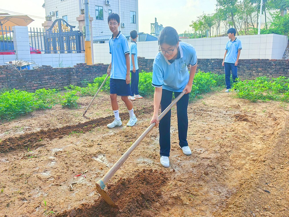 漯河正规孩子叛逆学校具体位置与择校指南